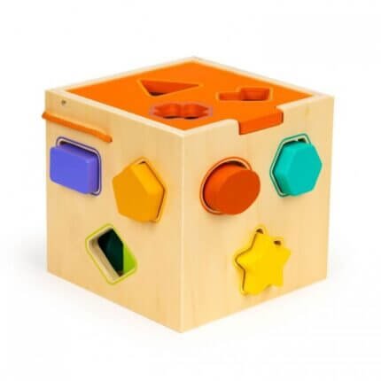 Cub educational cu blocuri din lemn si sortator Ecotoys PH05M015